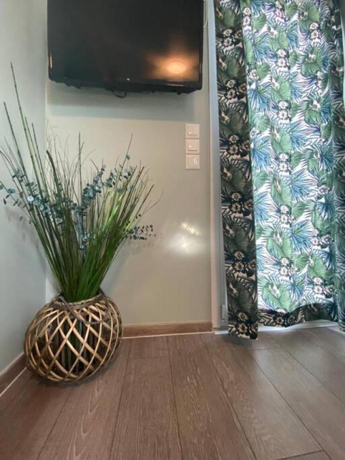 Rooftop Apartment With Garden In Ioannina Ngoại thất bức ảnh